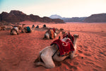 'Wadi Rum Desert' - Wall Art Photography Print