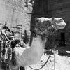 'Camel at Petra (B&W)' Wall Art Photography Print
